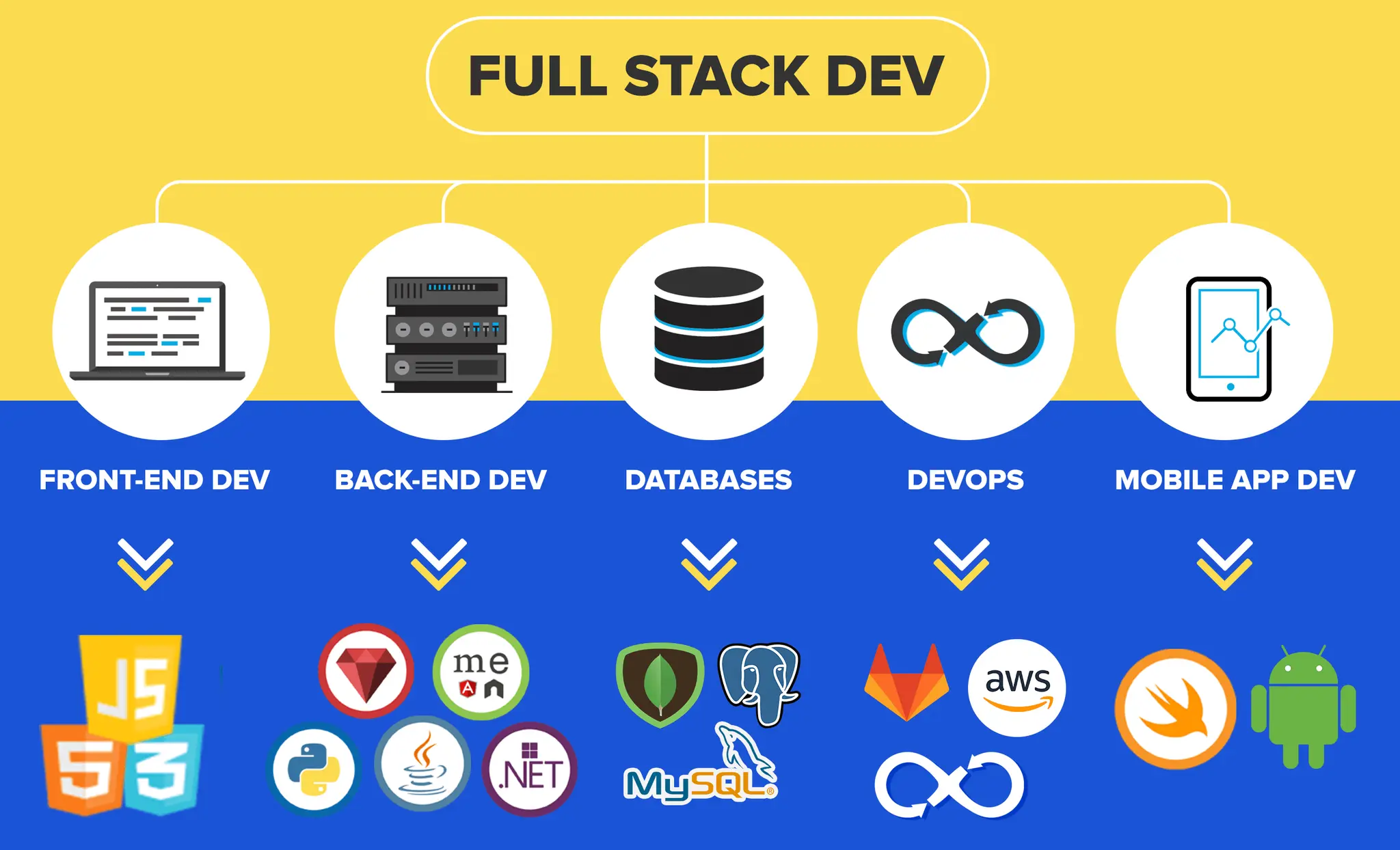 Web Development